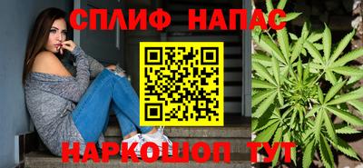 крисы Аргун
